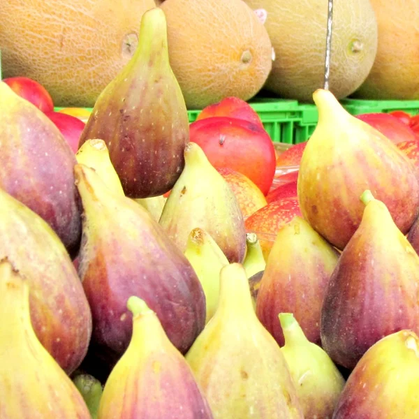Tel Aviv verse vijgen en meloenen 2012 — Stockfoto
