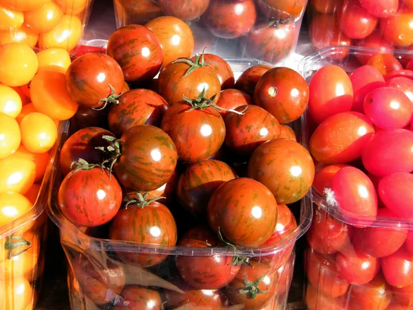 Tel Aviv beautiful tomatoes 2011 — Stock Photo, Image