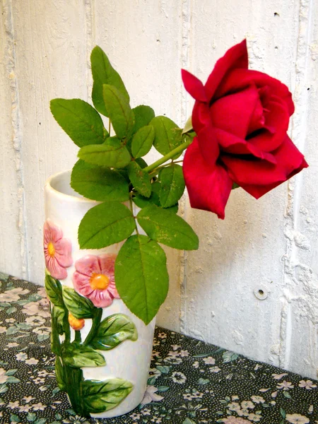 Or Yehuda Rose in a vase 2010 — Stock Photo, Image