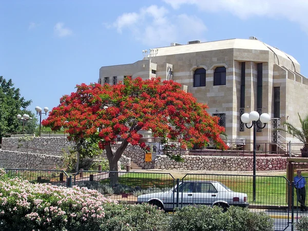 Ramat Gan sinagog 2004