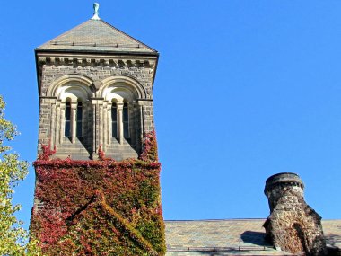 Toronto Üniversitesi Gerstein merkezi 2015
