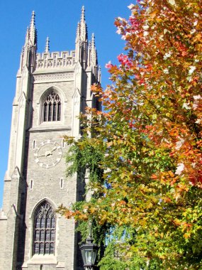 Toronto Üniversitesi askerler kule 2015