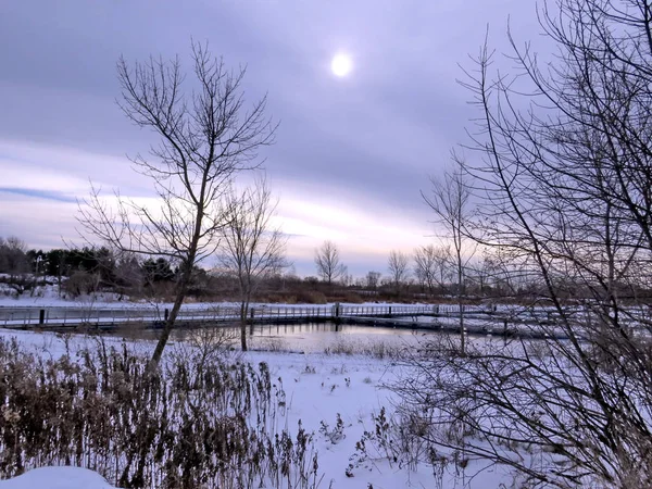Toronto Lake o dia de inverno 2016 — Fotografia de Stock