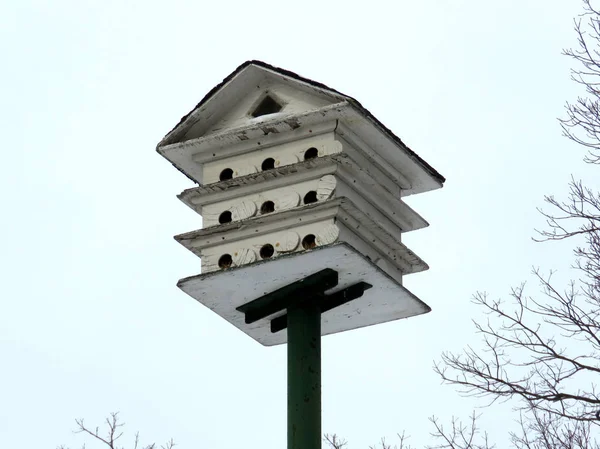 Toronto Hochpark Vogelhaus 2016 — Stockfoto