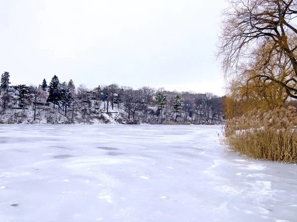 Toronto High Park lagoa de inverno 2016 — Fotografia de Stock