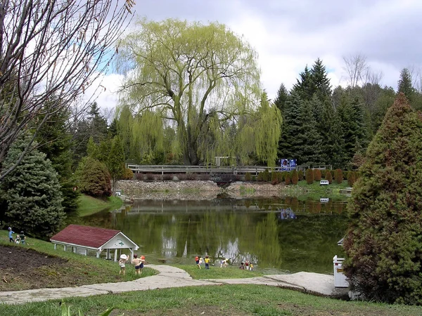 トロント カレン庭園池 2003 年 5 月 — ストック写真