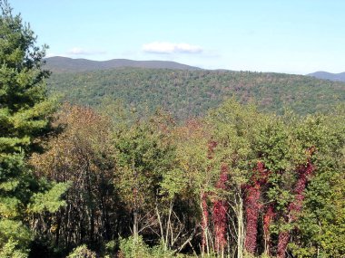 Shenandoah orman Ekim 2004