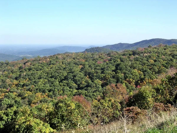 Shenandoah Park forest October 2004 — Stock Photo, Image