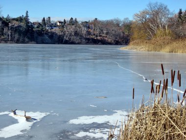 Toronto yüksek Park view kış gölet 2017 