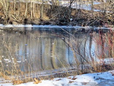 Toronto yüksek Park Su birikintisi 2017 dondurulmuş 