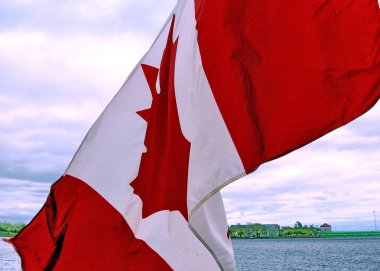 Bayrak sallayarak Kingston Kanada Mayıs 2008