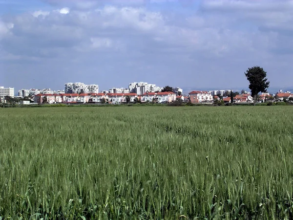 Oder yehuda ramat pinkas märz 2006 — Stockfoto