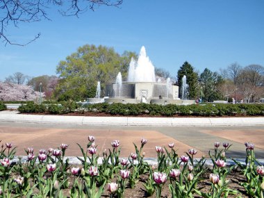 Washington aşağı Senato Parkı çeşme Nisan 2010