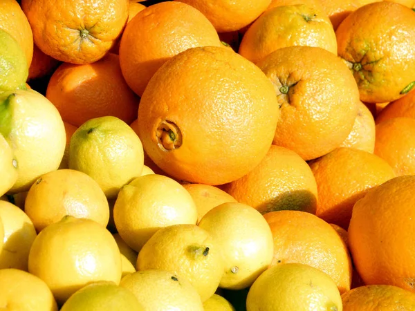 Tel Aviv the lemons and oranges 2011 — Stock Photo, Image