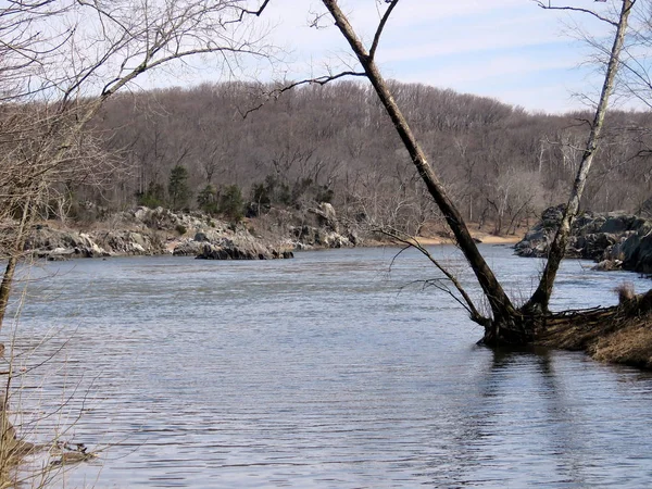 Potomac flodlandskap mars 2017 — Stockfoto
