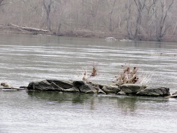 Rio Potomac ilha de pedra primavera 2017 — Fotografia de Stock