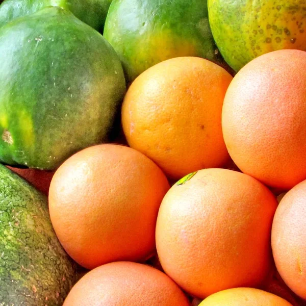 Tel Aviv grapefrukt og papaya 2012 – stockfoto