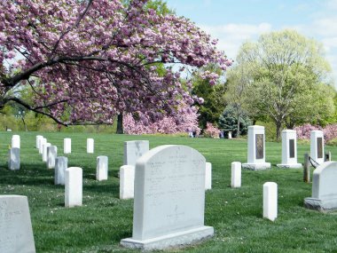 Challenger ve Columbia Memorial yakınlarındaki Arlington mezarlığı Sakura 