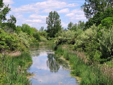 Toronto Gölü yaz nehir 2017 