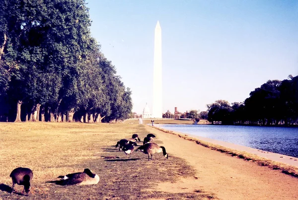 Lagoa de Washington e Monumento a Washington 2000 — Fotografia de Stock