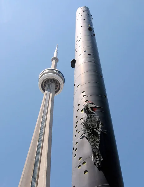 Toronto Torre e Picchio 2009 — Foto Stock