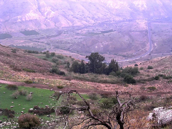 Ramat Hagolan krajobraz listopad 2006 — Zdjęcie stockowe