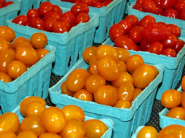 Markham cherry tomatoes 2017 — Stock Photo, Image