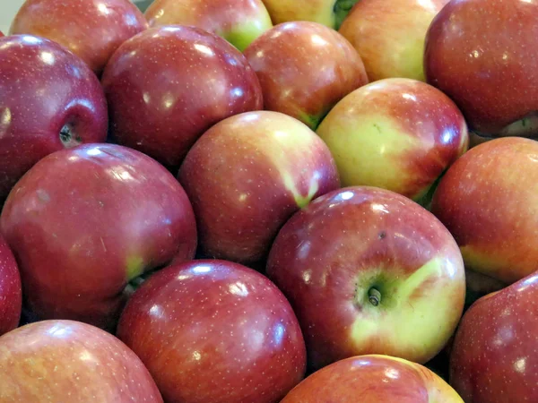 Markham apples 2017 — Stock Photo, Image