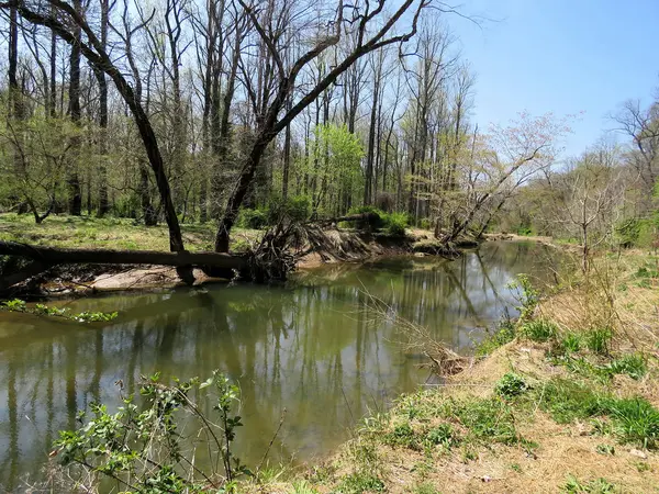 McLean mayın Çalıştır şube nehir 2016