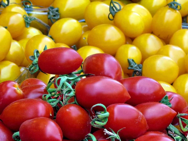 Tel Aviv red and yellow tomatoes 2012 — Stock Photo, Image