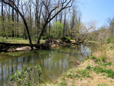McLean mayın Çalıştır şube nehir 2016