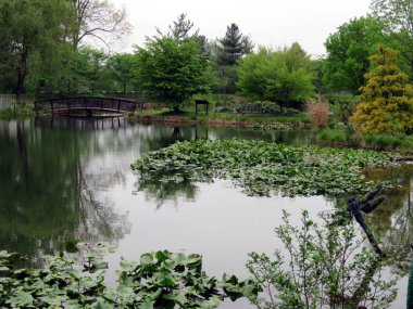  Viyana gölet ve köprü 2016