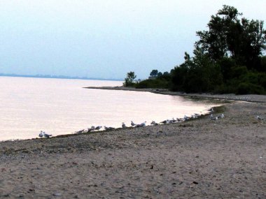 Darlington Park view Gölü Ontario 2015'in