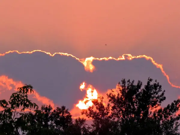 Sonnenuntergang im Darlington Park 2015 — Stockfoto