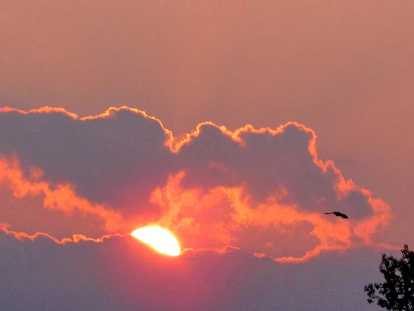 Darlington Park schöner Sonnenuntergang 2015 — Stockfoto
