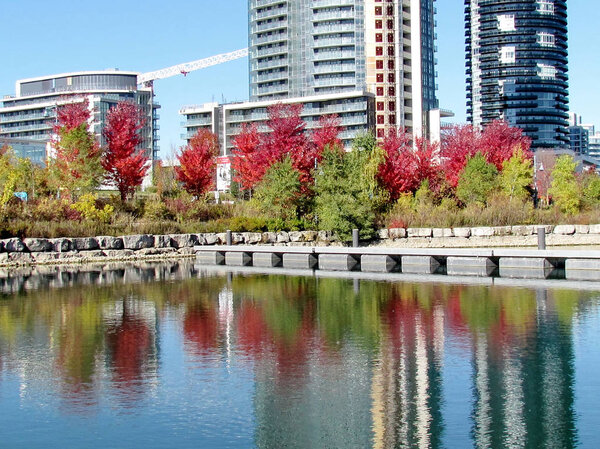 Toronto Lake autumn landscape 2014 