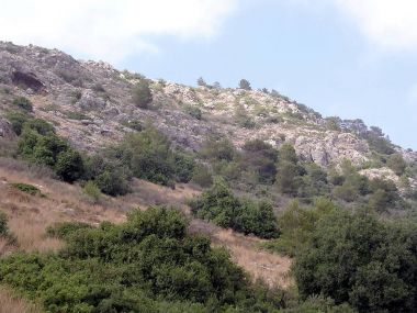 Haifa Carmel Dağı Milli Parkı 2004