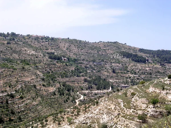 エルサレムの丘 2005 — ストック写真