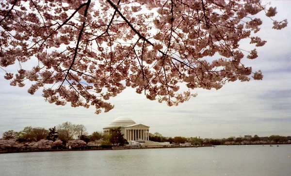 Washington o Memorial Jefferson 1999 — Fotografia de Stock