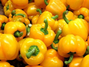 Thornhill biber 2018 