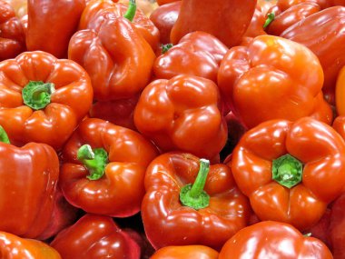 Thornhill kırmızı biber 2018