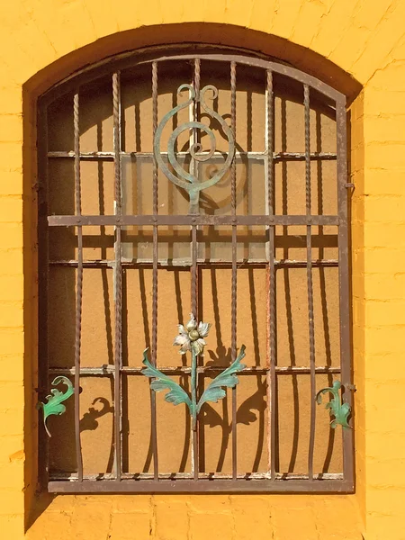 Window with pretty flowers of wrought iron — Stock Photo, Image