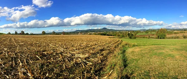 Campo di mais raccolto con montagna sullo sfondo — Foto Stock