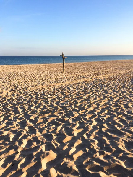 Lonesome strand van de Oostzee — Stockfoto