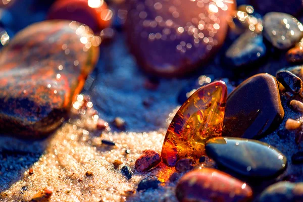Amber di pantai Laut Baltik — Stok Foto