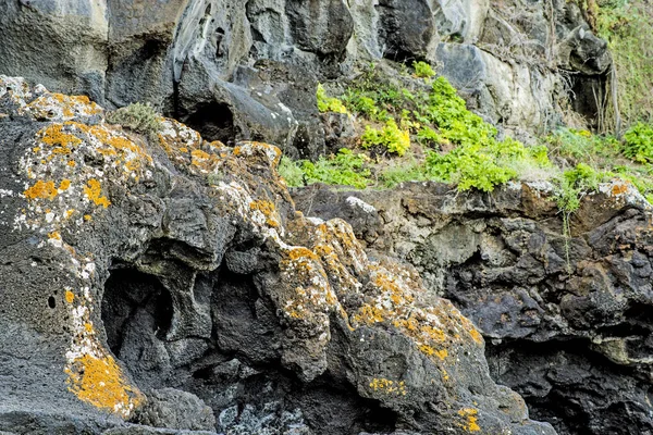 Costa vulcânica de Tenerife — Fotografia de Stock