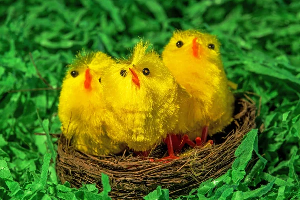 Ostergebote im Nest — Stockfoto