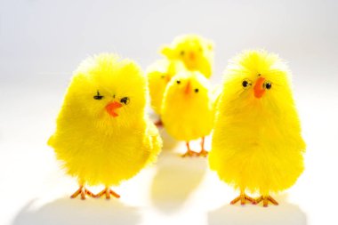 Paskalya Pasific üst üste