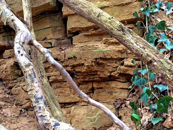 Muralhas do Oberrommenburg perto de Schlat, Alemanha — Fotografia de Stock