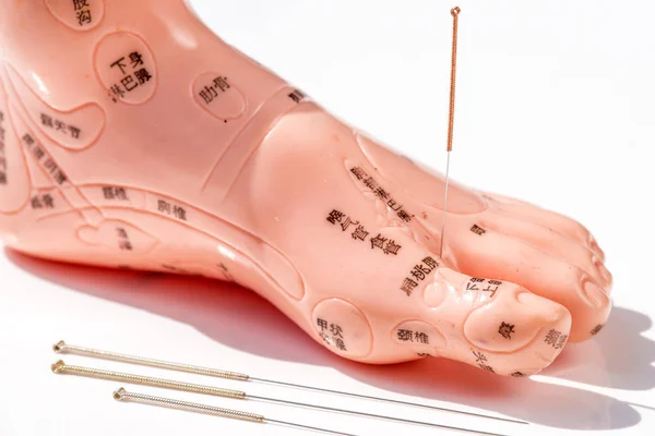 Acupuncture demonstration on foot model — Stock Photo, Image